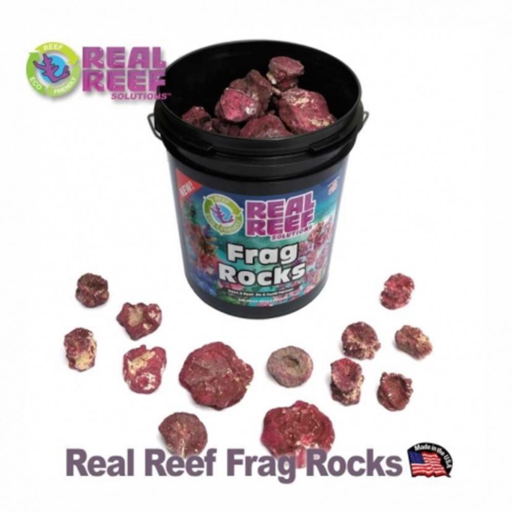 리얼 리프 프랙 락-약3.8Kg 200개-RRFR-Real Reef